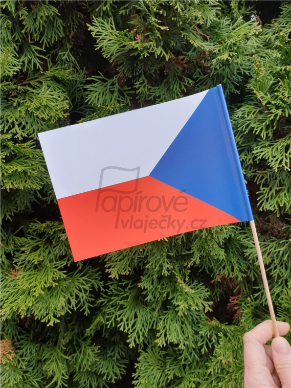 EU, 10 ks, papírová vlaječka A5